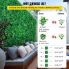 VEVOR Artificial Boxwood Panels, 12 PCS 20"x20" Boxwood Hedge Wall Panels, PE Artificial Grass Backdrop Wall 1.6"