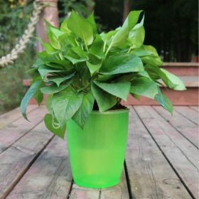 Strongwell Nordic Hydroponics Flower Pot Fairy Garden (Option: Green-12)