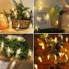 1pc; Photo Clip String Lights Home Decor Indoor/Outdoor; Battery Powered String Lights Lamp For Wedding Party Festival Decor 9.85ft 20LED (Not Include